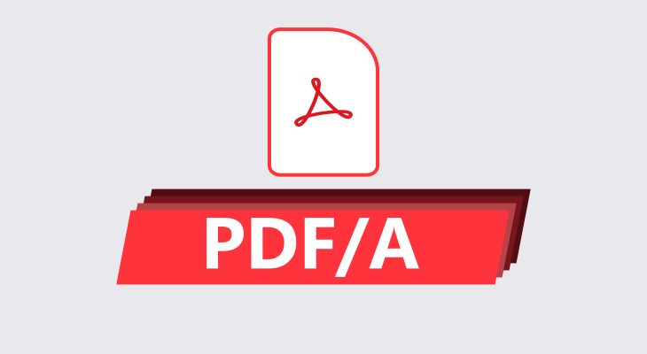 All About PDF/A Format