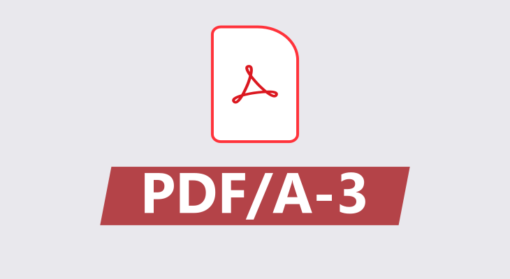PDF/A-3 Standard