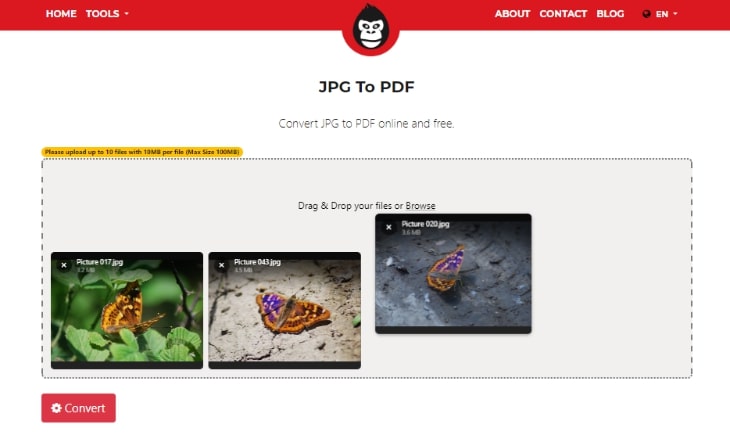 Rearrange the images by dragging in GorillaPDF image converters