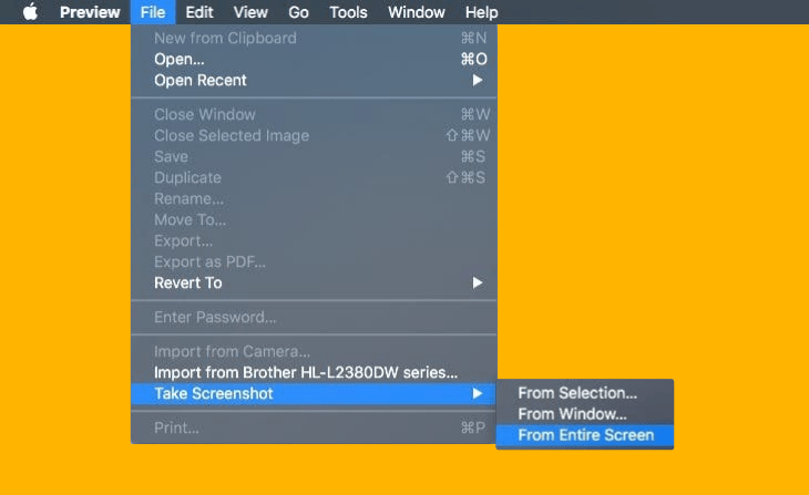 Using Preview to take a screenshot on Mac